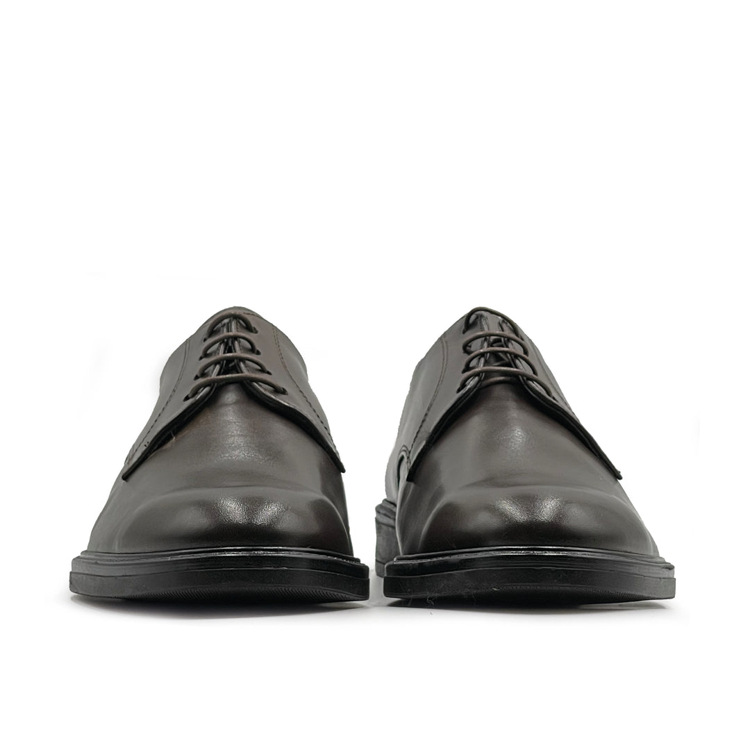 #colore_testa-di-moro