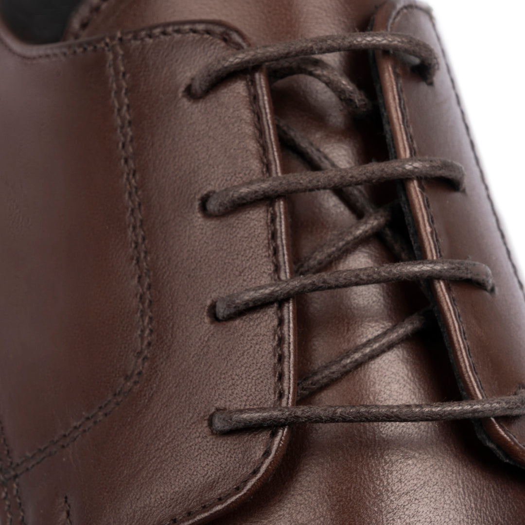 #colore_testa-di-moro