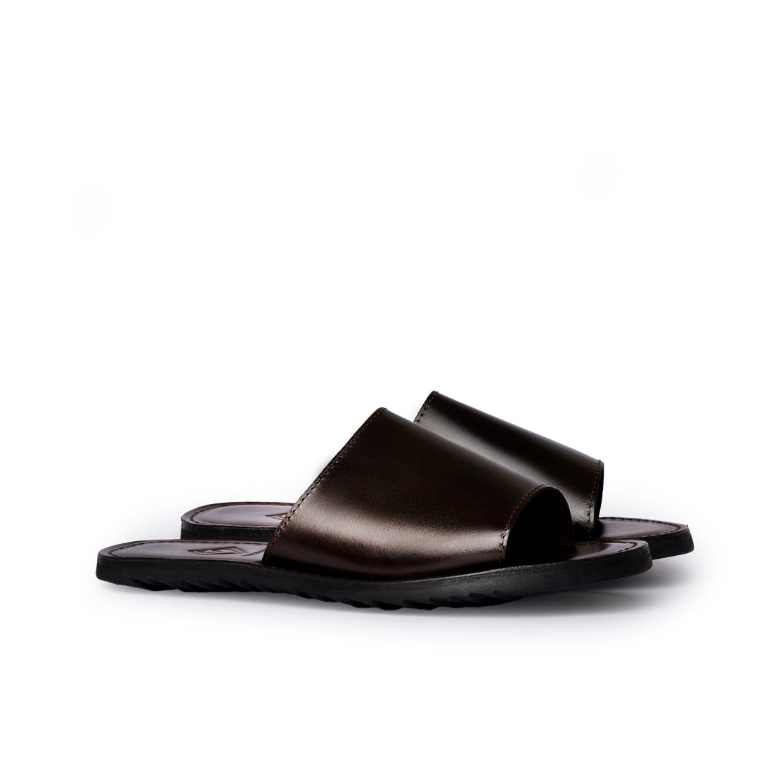 #colore_testa-di-moro