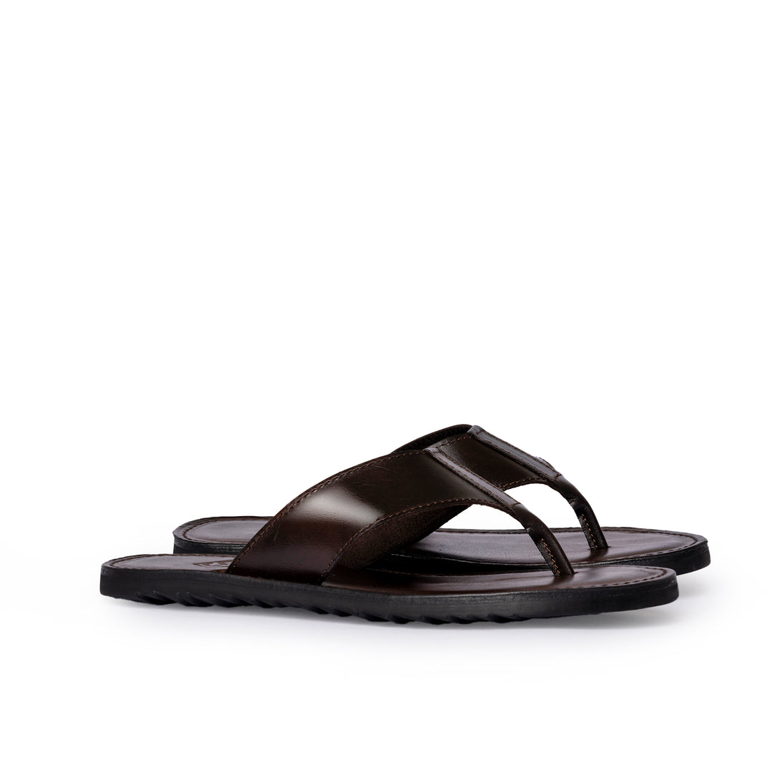 #colore_testa-di-moro