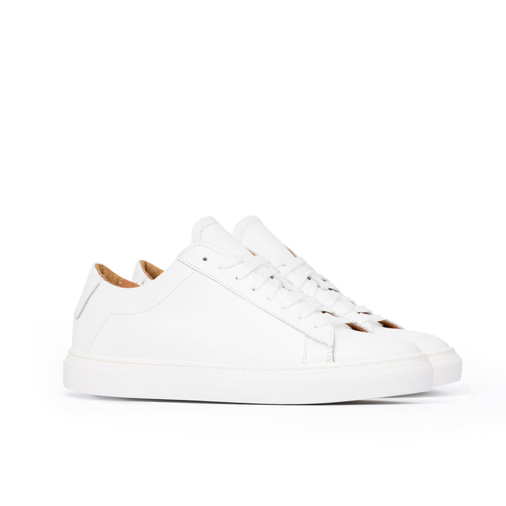#colore_bianco