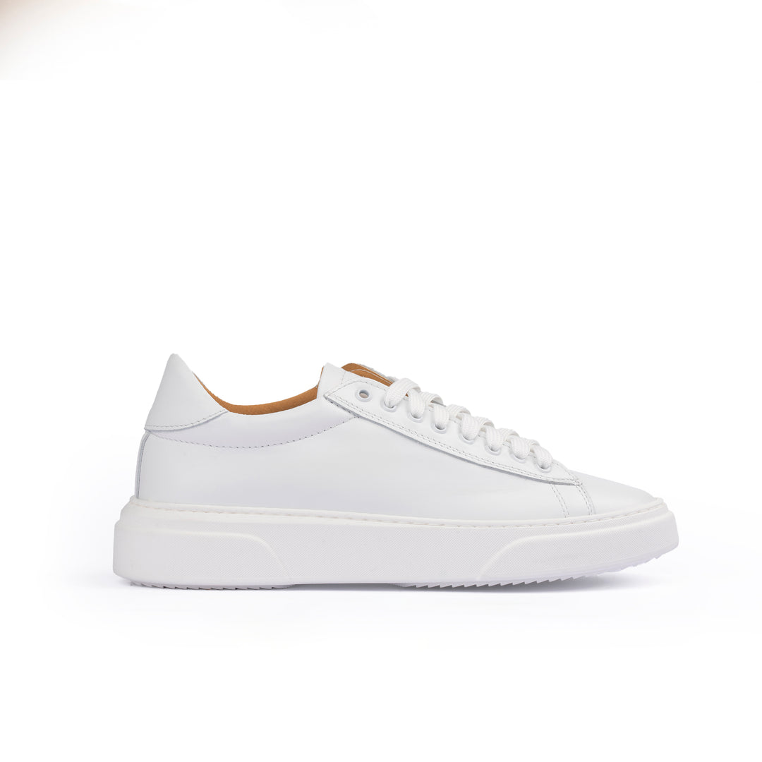 #colore_bianco