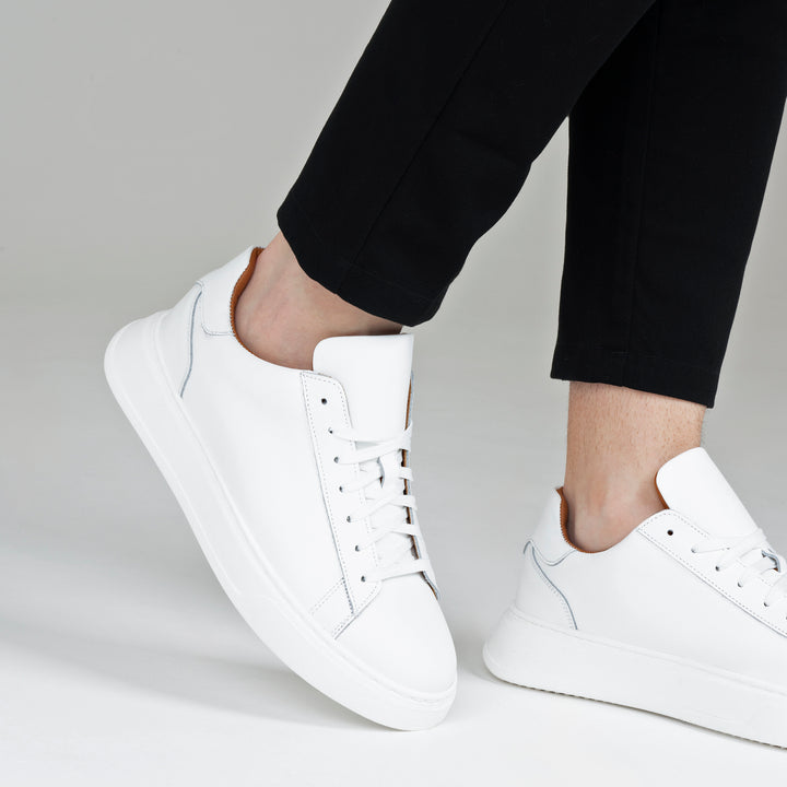 #colore_bianco