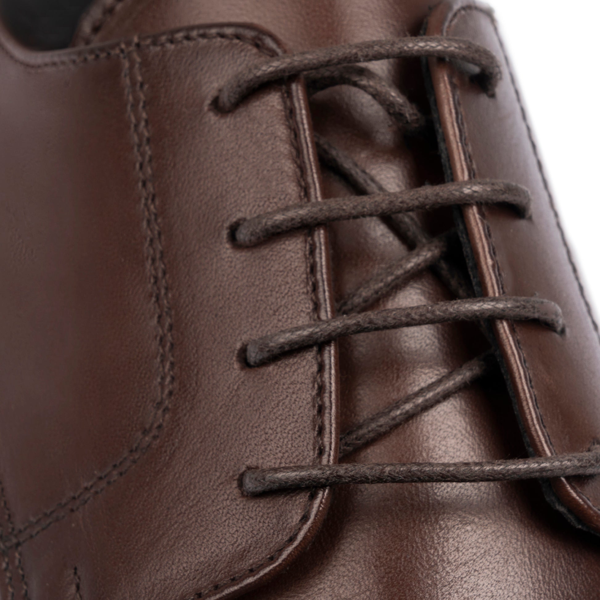 #colore_testa-di-moro