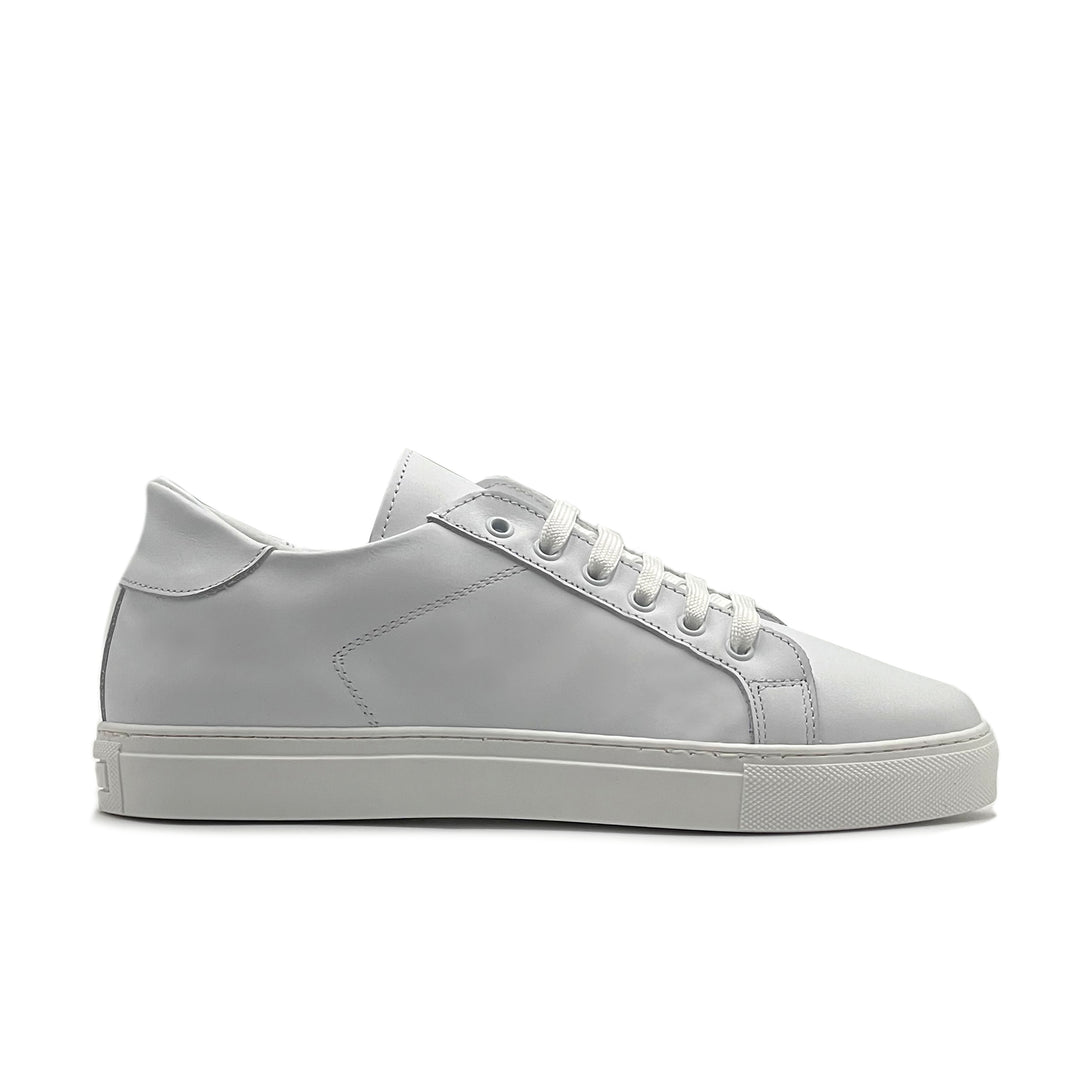 #colore_bianco