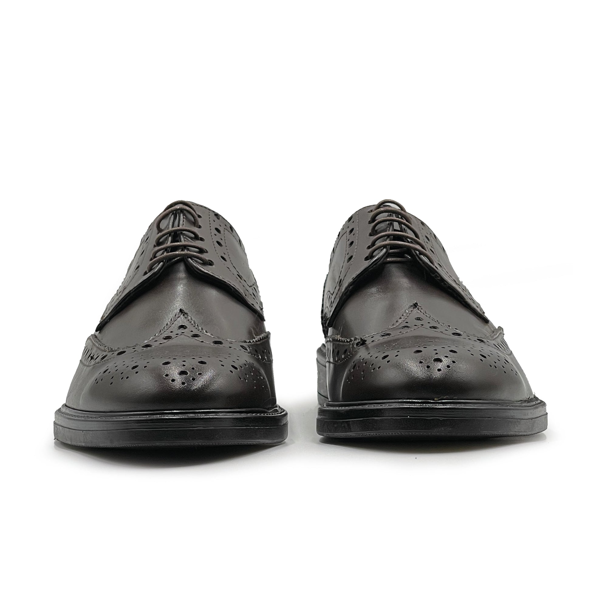 #colore_testa-di-moro