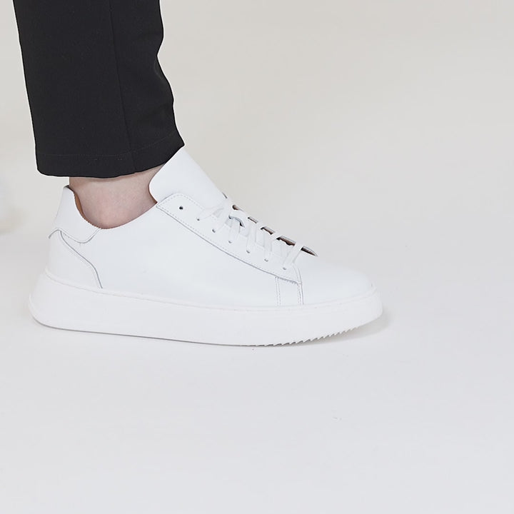 #colore_bianco