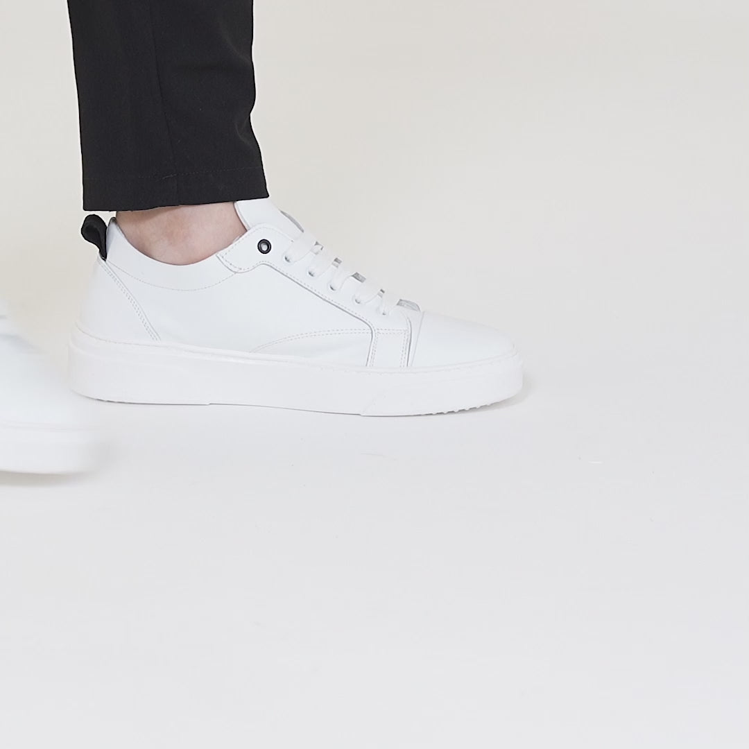 #colore_bianco